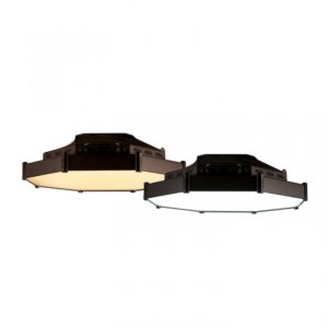 Chroma Q Bi-Color Space Light